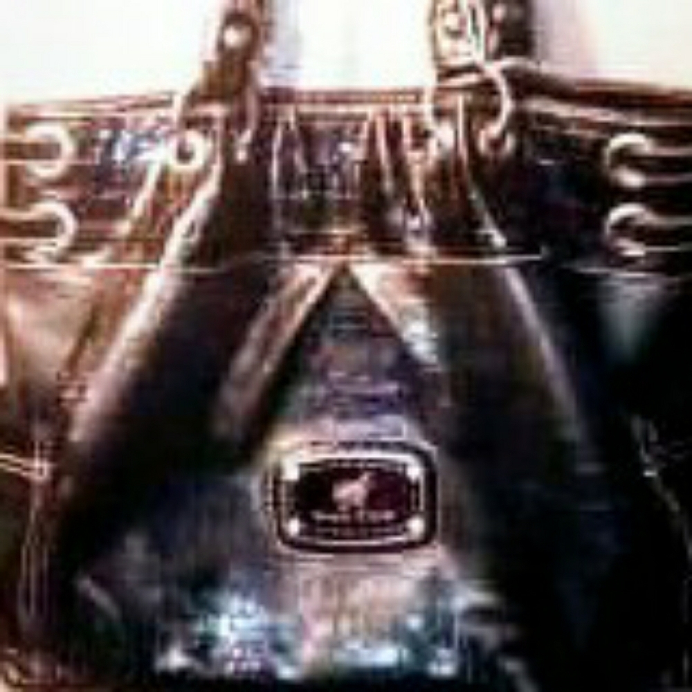 Sienna Ricchi Handbag/Purse - Picture 2 of 2